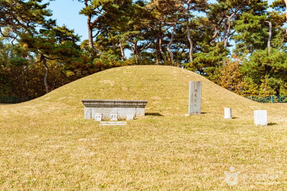 경주 신무왕릉 여행 추천 - 메고지고 경주 신무왕릉 여행 추천 - 메고지고