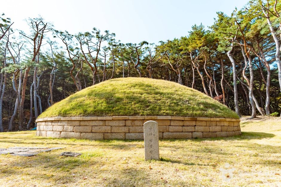경주 헌강왕릉 여행 추천 - 메고지고