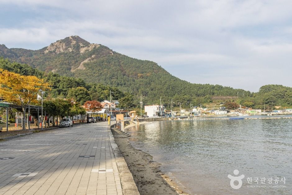 대항해수욕장 여행 추천 - 메고지고 대항해수욕장 여행 추천 - 메고지고