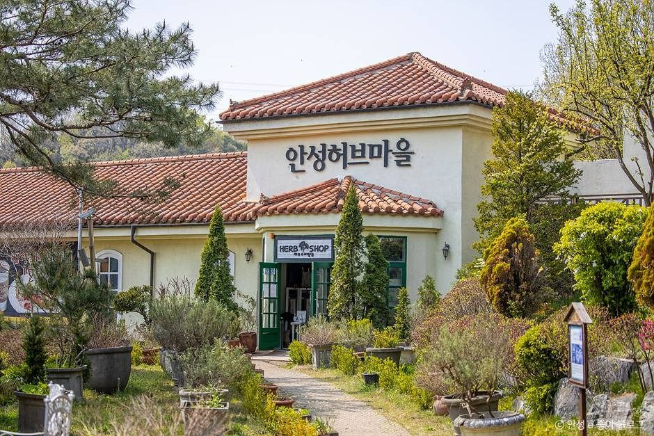 안성허브마을 여행 추천 - 메고지고 안성허브마을 여행 추천 - 메고지고