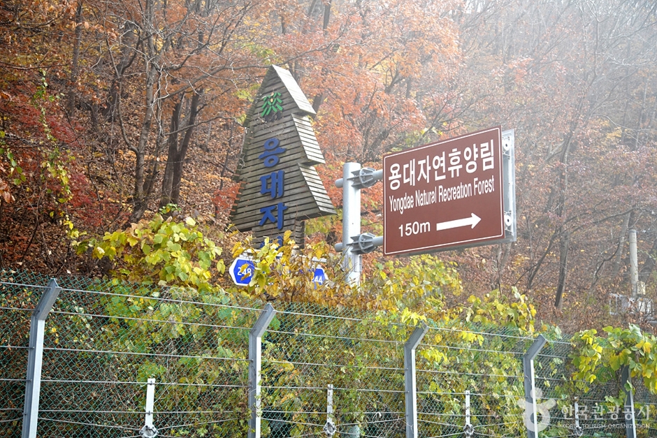 국립 용대자연휴양림 여행 추천 - 메고지고 국립 용대자연휴양림 여행 추천 - 메고지고