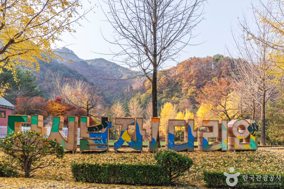 단양 다리안관광지 여행 추천 - 메고지고