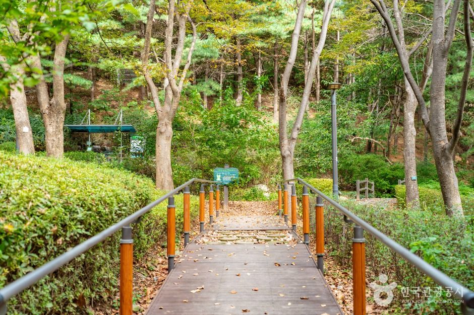 계남근린공원 여행 추천 - 메고지고 계남근린공원 여행 추천 - 메고지고