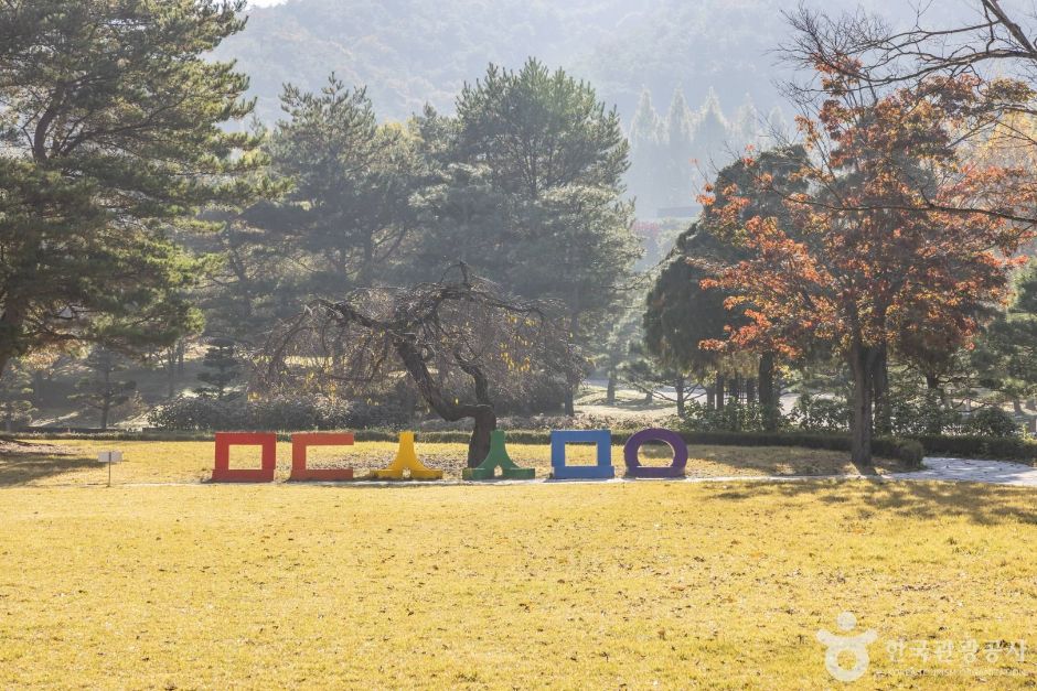 미동산수목원 여행 추천 - 메고지고 미동산수목원 여행 추천 - 메고지고