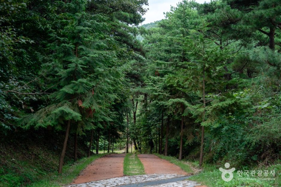 [대구올레 팔공산 2코스] 한실골 가는 길 여행 추천 - 메고지고