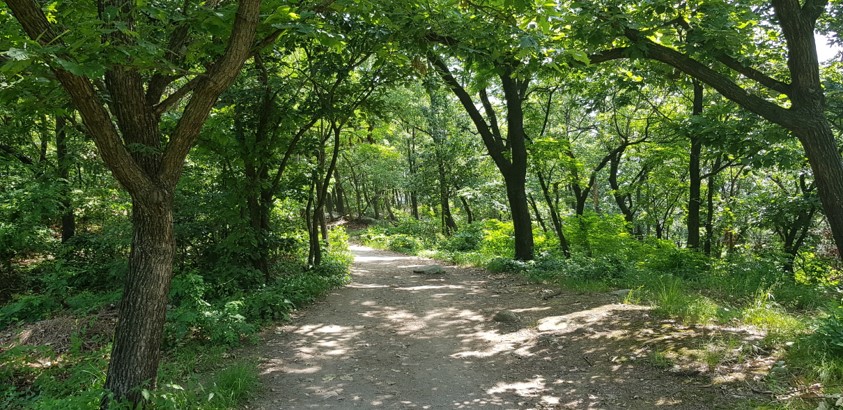 호암산성 여행 추천 - 메고지고 호암산성 여행 추천 - 메고지고