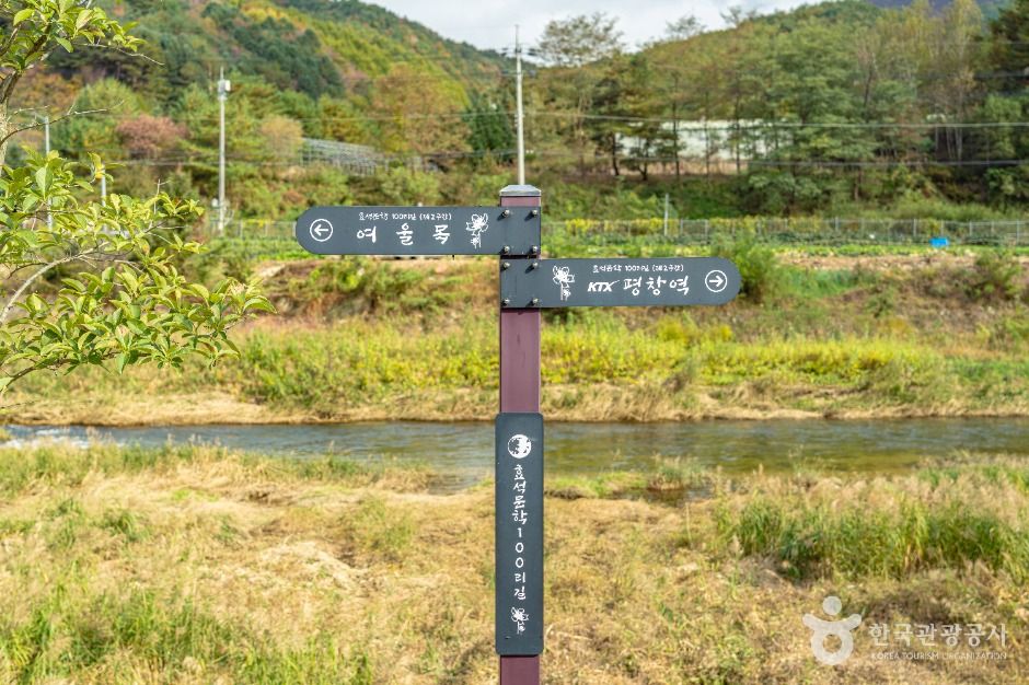 [효석문학100리길 2코스] 대화장터 가는 길 여행 추천 - 메고지고
