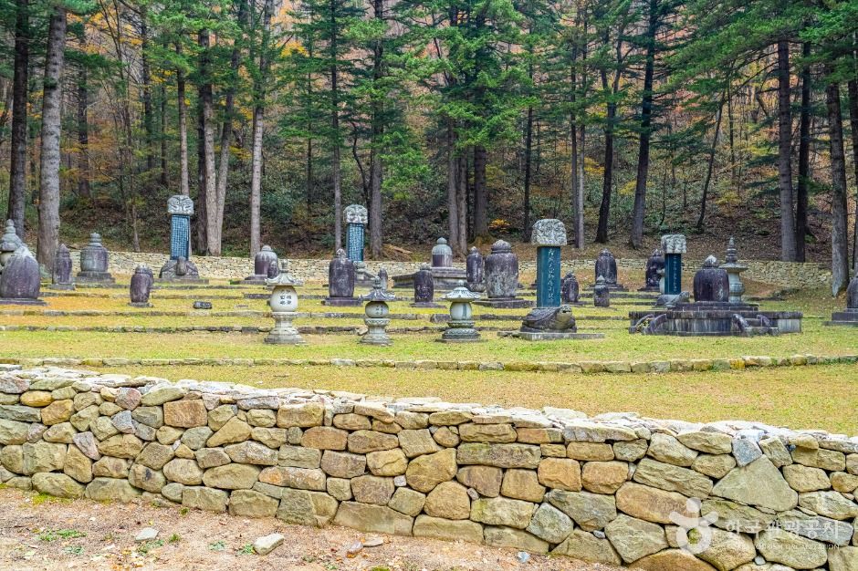 월정사부도군 여행 추천 - 메고지고 월정사부도군 여행 추천 - 메고지고