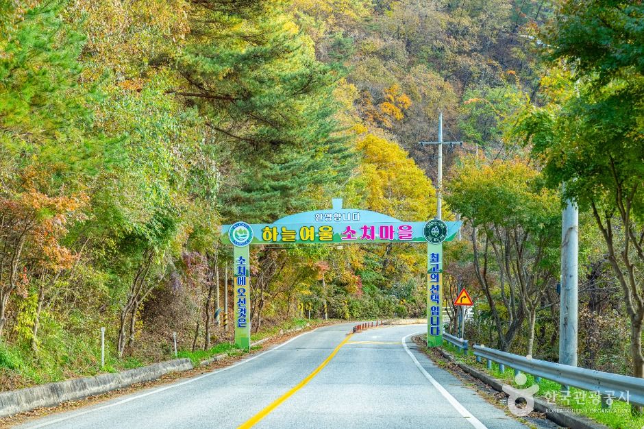 소치길 여행 추천 - 메고지고 소치길 여행 추천 - 메고지고