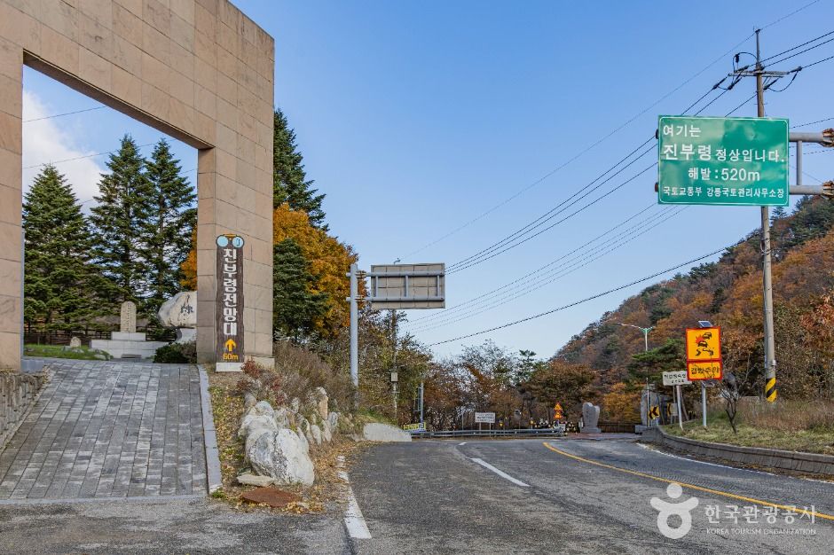 진부령 여행 추천 - 메고지고