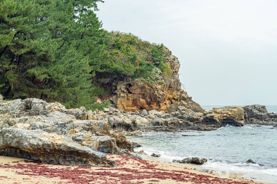 감추사 여행 추천 - 메고지고 감추사 여행 추천 - 메고지고