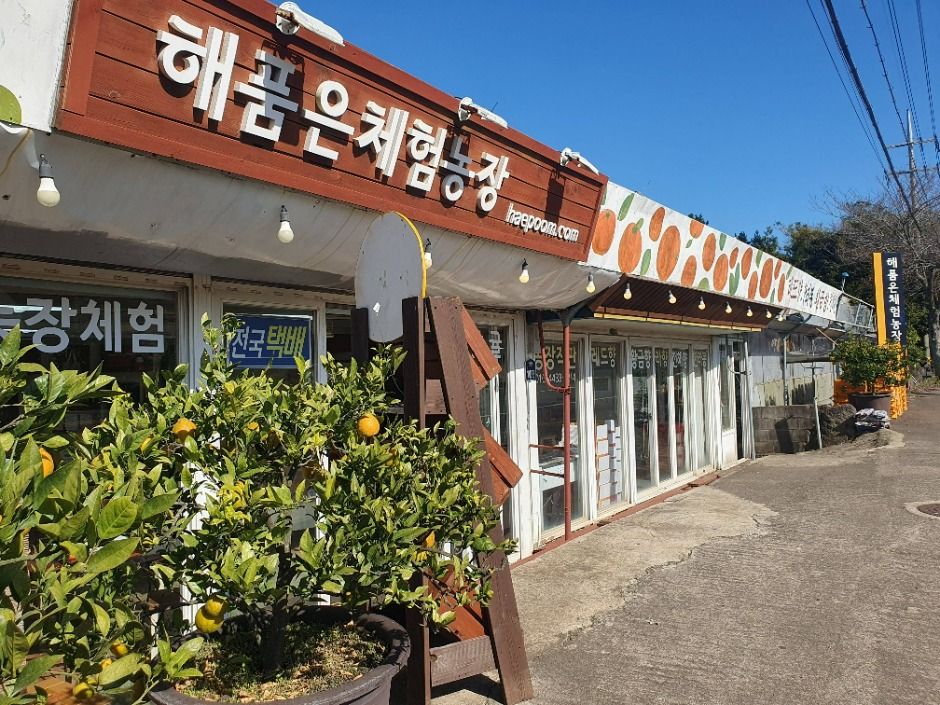 해품은체험농장 여행 추천 - 메고지고
