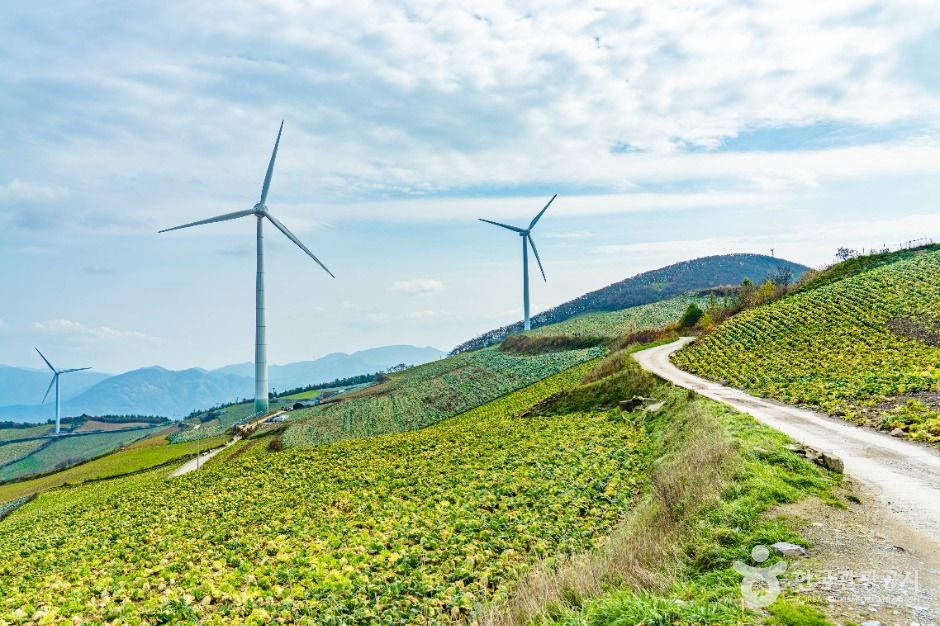 매봉산풍력발전단지(바람의 언덕) 여행 추천 - 메고지고 매봉산풍력발전단지(바람의 언덕) 여행 추천 - 메고지고
