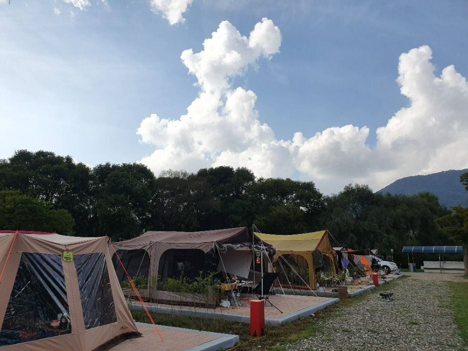독립기념관 캠핑장 여행 추천 - 메고지고 독립기념관 캠핑장 여행 추천 - 메고지고