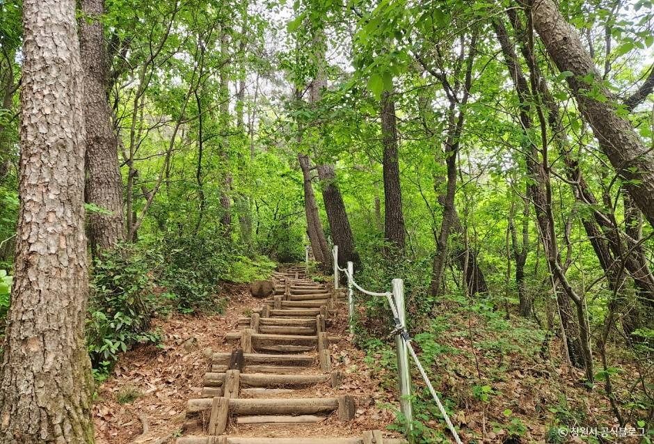 정병산 여행 추천 - 메고지고 정병산 여행 추천 - 메고지고