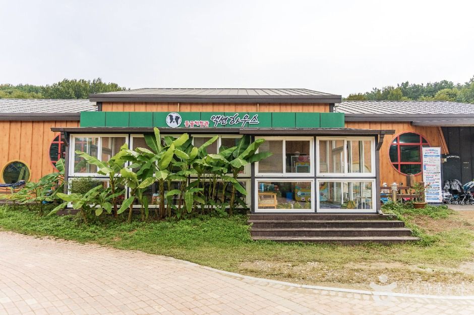 익산 액션하우스 여행 추천 - 메고지고 익산 액션하우스 여행 추천 - 메고지고