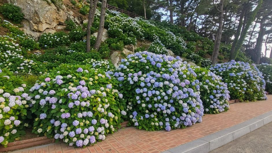 저구마을 여행 추천 - 메고지고 저구마을 여행 추천 - 메고지고