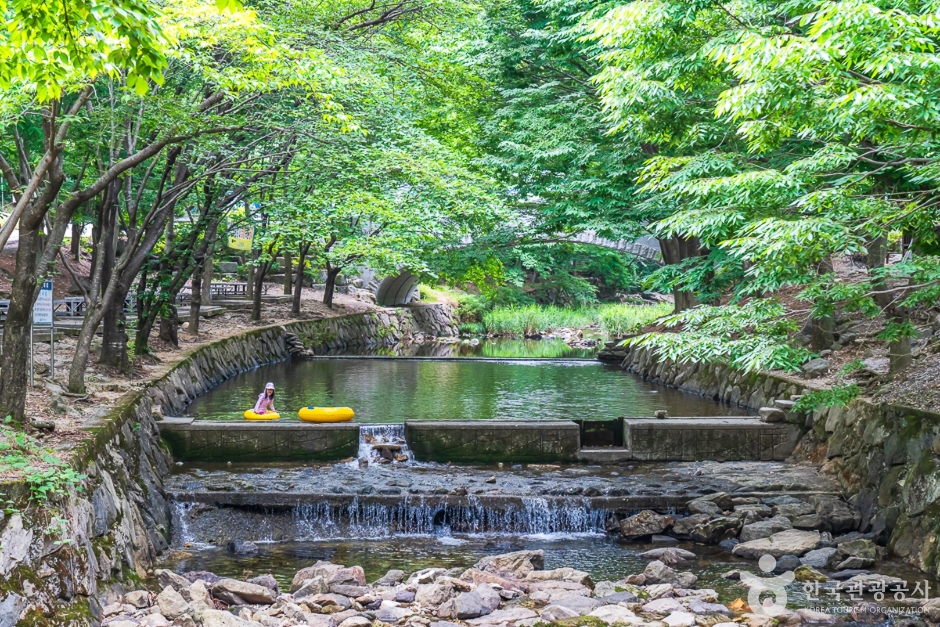 고산자연휴양림 여행 추천 - 메고지고 고산자연휴양림 여행 추천 - 메고지고