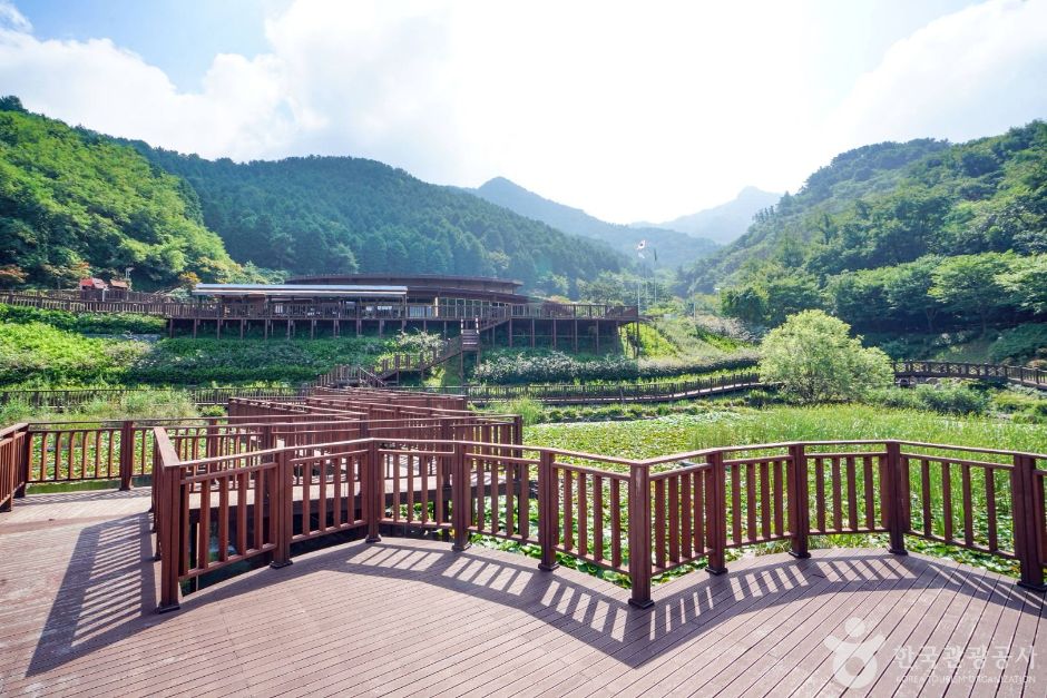 진해드림파크 여행 추천 - 메고지고 진해드림파크 여행 추천 - 메고지고