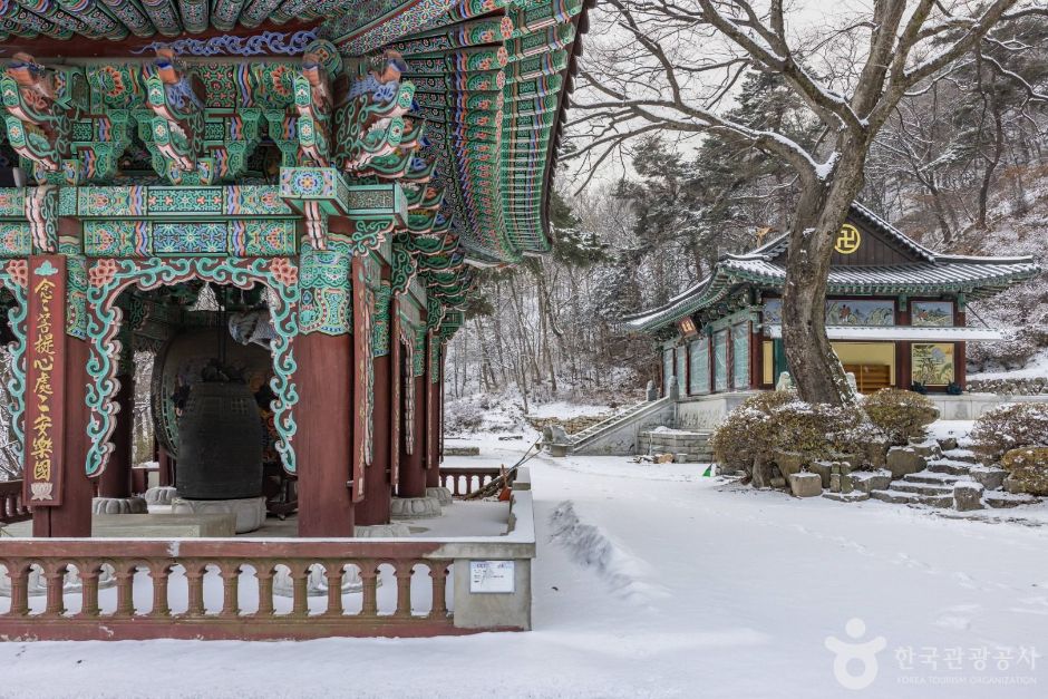 내원사(서울) 여행 추천 - 메고지고 내원사(서울) 여행 추천 - 메고지고