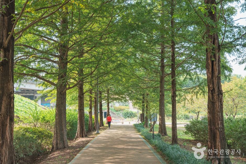 당정뜰 여행 추천 - 메고지고 당정뜰 여행 추천 - 메고지고