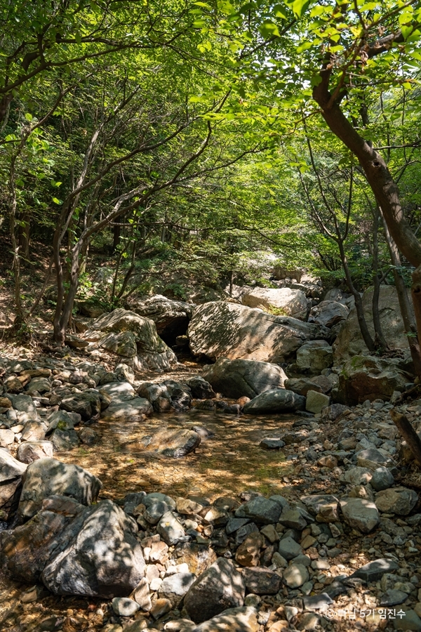 용추폭포 여행 추천 - 메고지고 용추폭포 여행 추천 - 메고지고