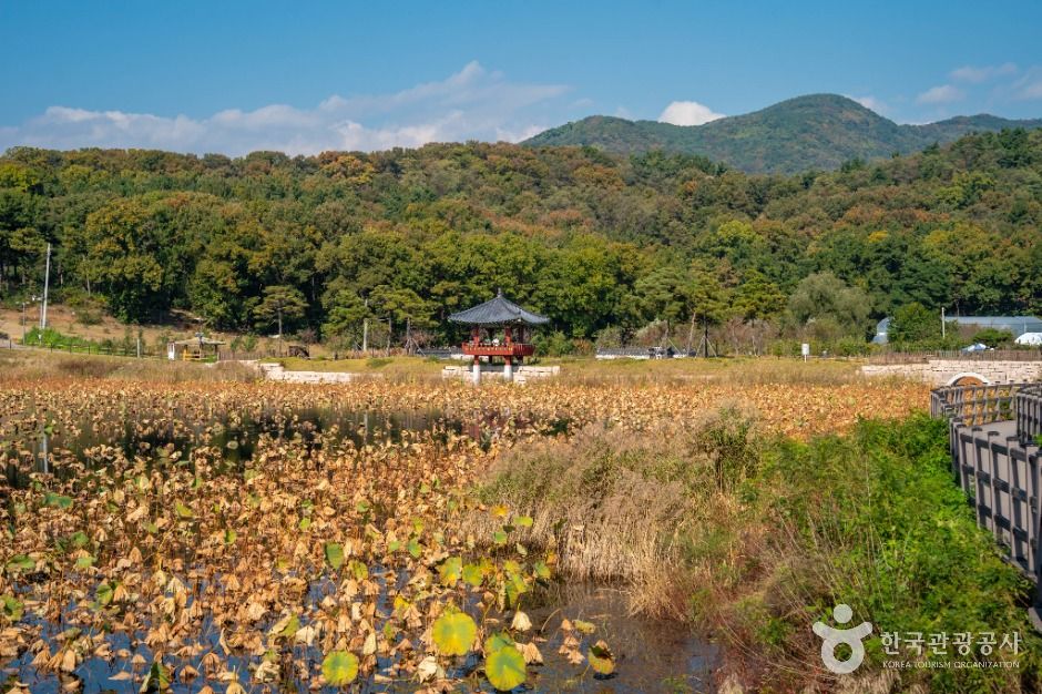 나불지 생태공원 여행 추천 - 메고지고