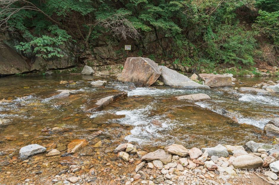 왕방계곡 여행 추천 - 메고지고 왕방계곡 여행 추천 - 메고지고