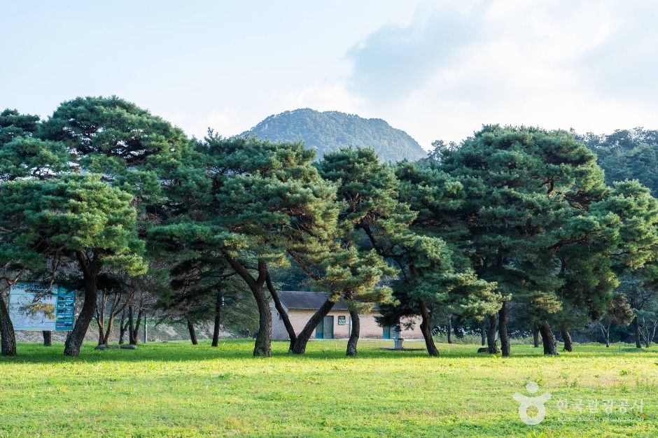 구송정 유원지 여행 추천 - 메고지고