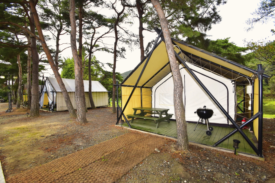 수림휴원 여행 추천 - 메고지고 수림휴원 여행 추천 - 메고지고