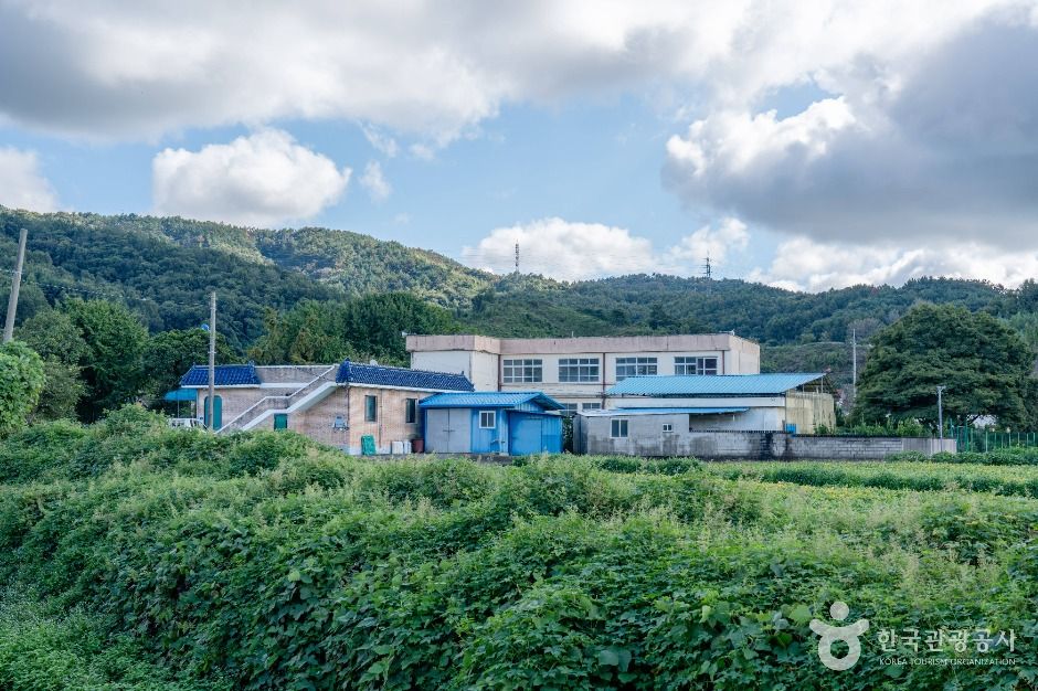 남당리 행복마을 여행 추천 - 메고지고