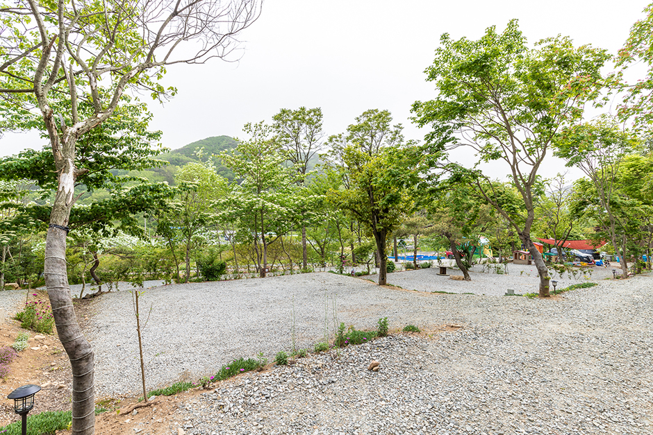 가야산캠핑장 여행 추천 - 메고지고