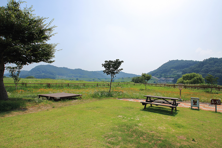 청양 동강리 오토캠핑장 여행 추천 - 메고지고 청양 동강리 오토캠핑장 여행 추천 - 메고지고