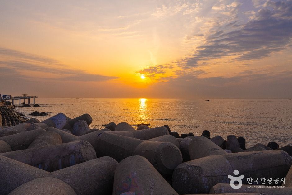 묵호항수변공원 여행 추천 - 메고지고 묵호항수변공원 여행 추천 - 메고지고