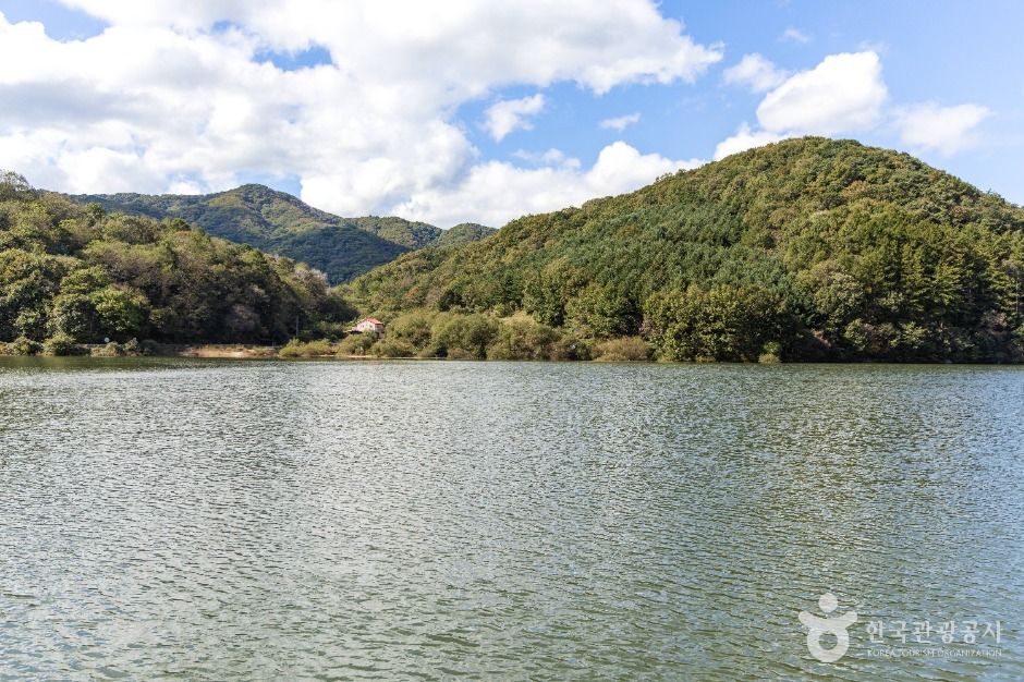 충도저수지 여행 추천 - 메고지고 충도저수지 여행 추천 - 메고지고