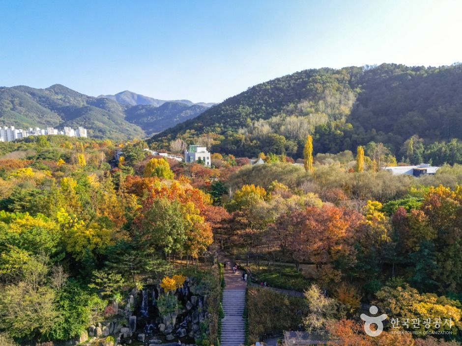 대구두류공원 여행 추천 - 메고지고 대구두류공원 여행 추천 - 메고지고