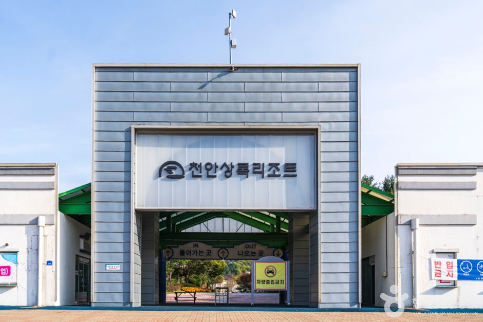 천안상록리조트 여행 추천 - 메고지고