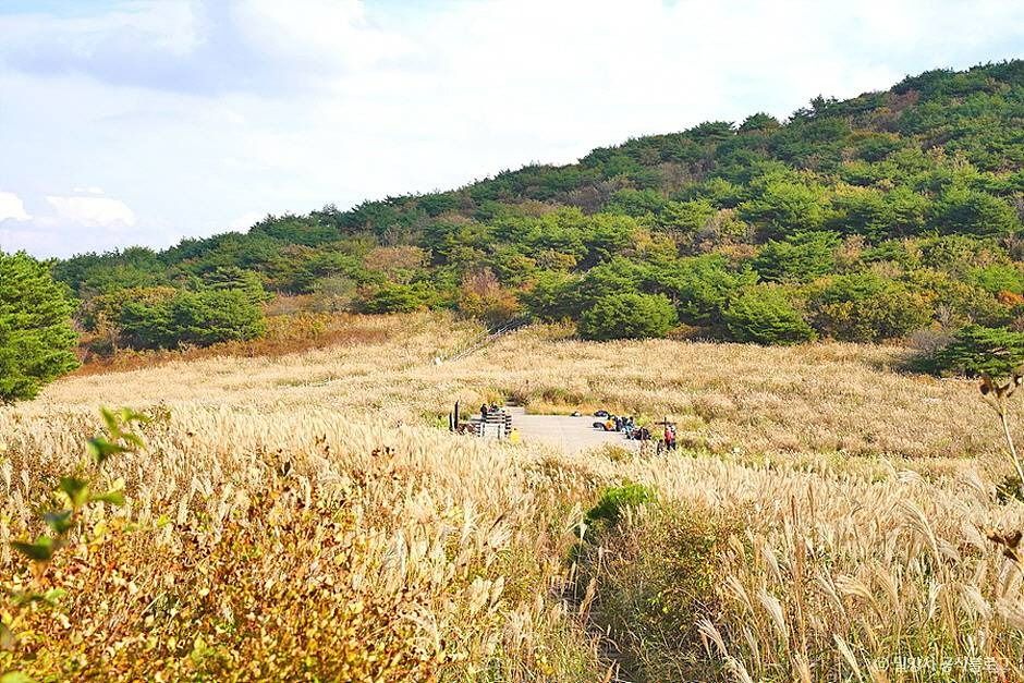 재약산 여행 추천 - 메고지고 재약산 여행 추천 - 메고지고