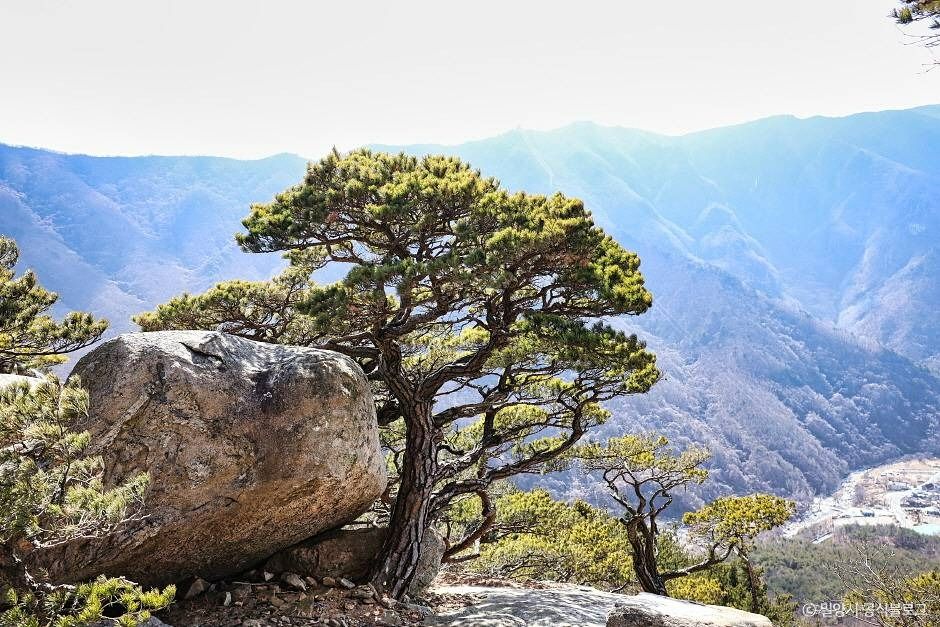 가지산도립공원(밀양) 여행 추천 - 메고지고 가지산도립공원(밀양) 여행 추천 - 메고지고