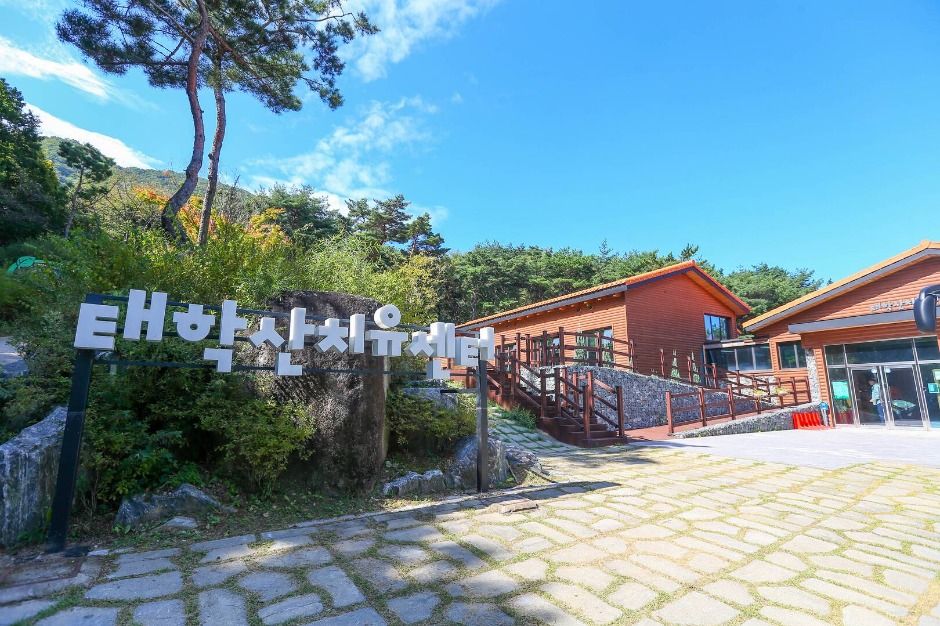 태학산자연휴양림 여행 추천 - 메고지고 태학산자연휴양림 여행 추천 - 메고지고