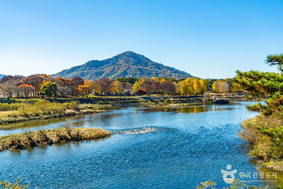 강선대 여행 추천 - 메고지고