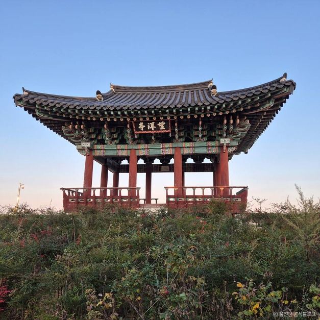 망양정 여행 추천 - 메고지고 망양정 여행 추천 - 메고지고