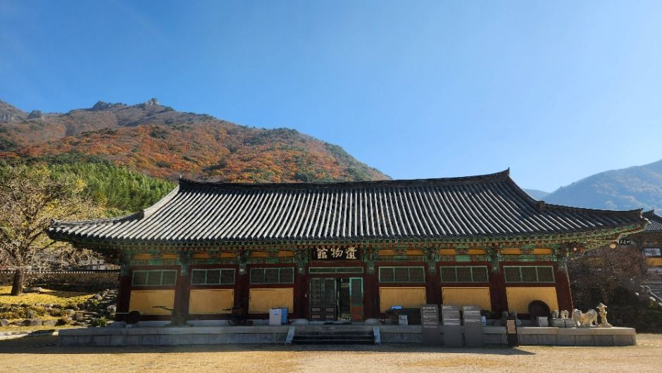 표충사호국박물관 여행 추천 - 메고지고 표충사호국박물관 여행 추천 - 메고지고