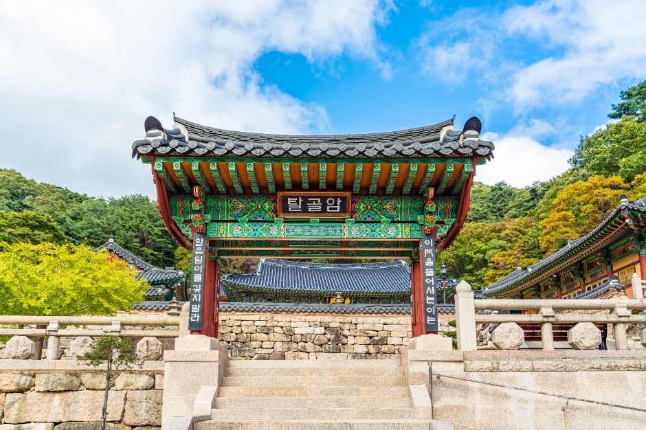 탈골암(충북) 여행 추천 - 메고지고 탈골암(충북) 여행 추천 - 메고지고