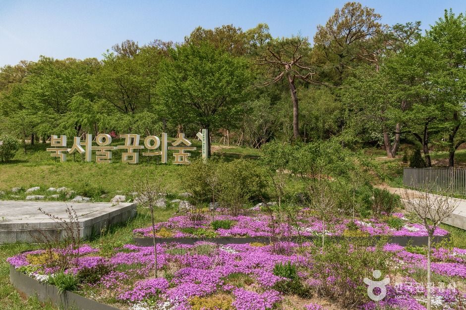 북서울꿈의숲 여행 추천 - 메고지고 북서울꿈의숲 여행 추천 - 메고지고