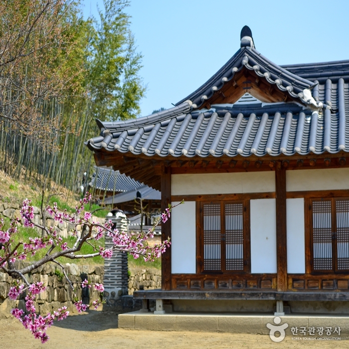 옥천 육영수 생가 여행 추천 - 메고지고