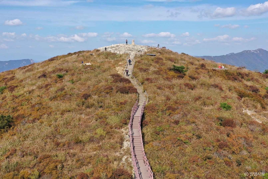 천황산 여행 추천 - 메고지고 천황산 여행 추천 - 메고지고