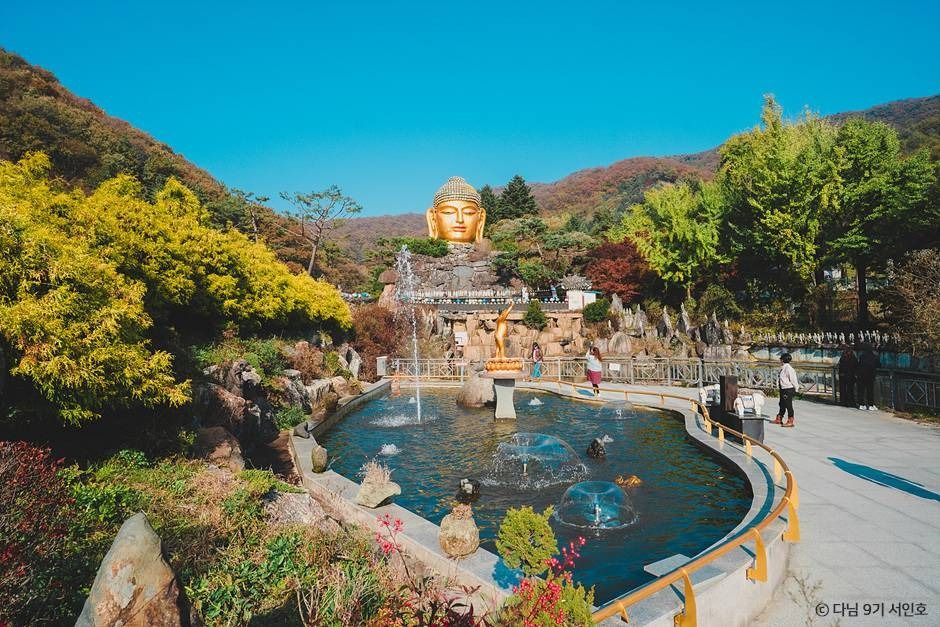 와우정사(용인) 여행 추천 - 메고지고 와우정사(용인) 여행 추천 - 메고지고
