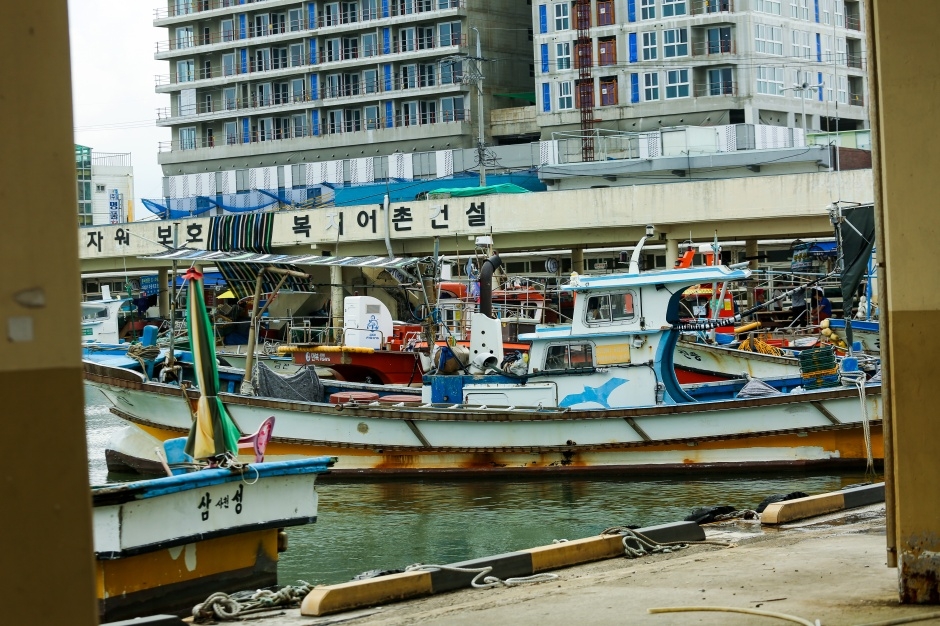 사천진항 여행 추천 - 메고지고 사천진항 여행 추천 - 메고지고