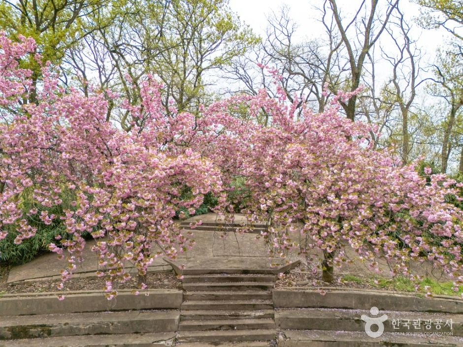 화원동산 여행 추천 - 메고지고 화원동산 여행 추천 - 메고지고
